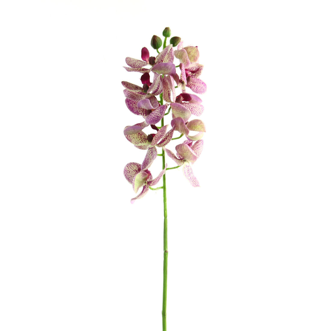 21"PHALAENOPSIS ORCHID SPRAY