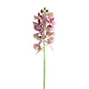 21"PHALAENOPSIS ORCHID SPRAY