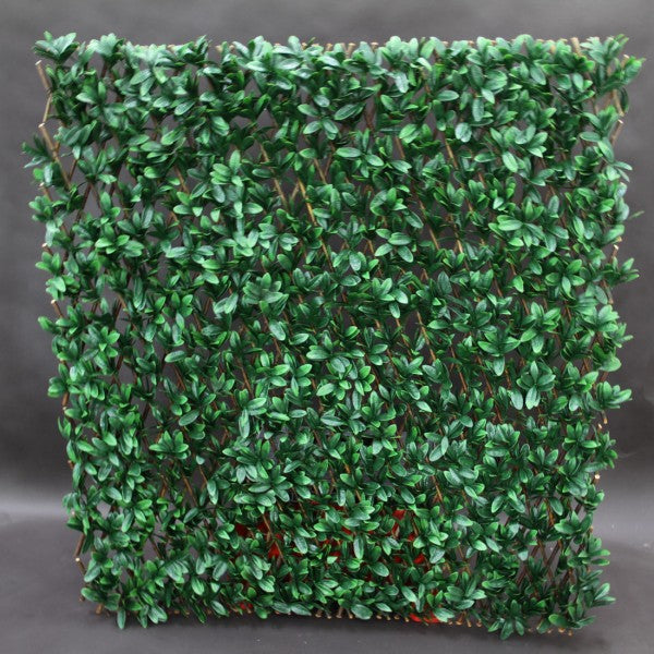 78.75"RHODOND.LEAF ACCOR.WALL