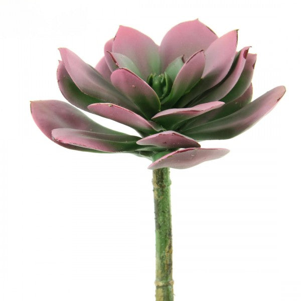 8"SUCCULENT PURPLE/SAGE