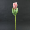 22.5"PROTEA SPRAY