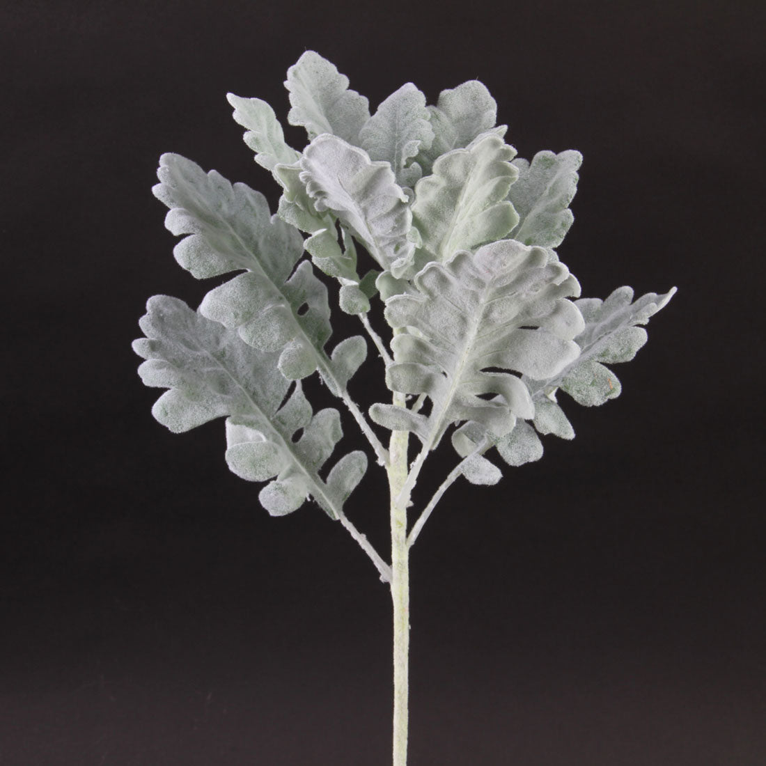 16"DUSTY MILLER GREY