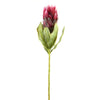 22.5"PROTEA SPRAY