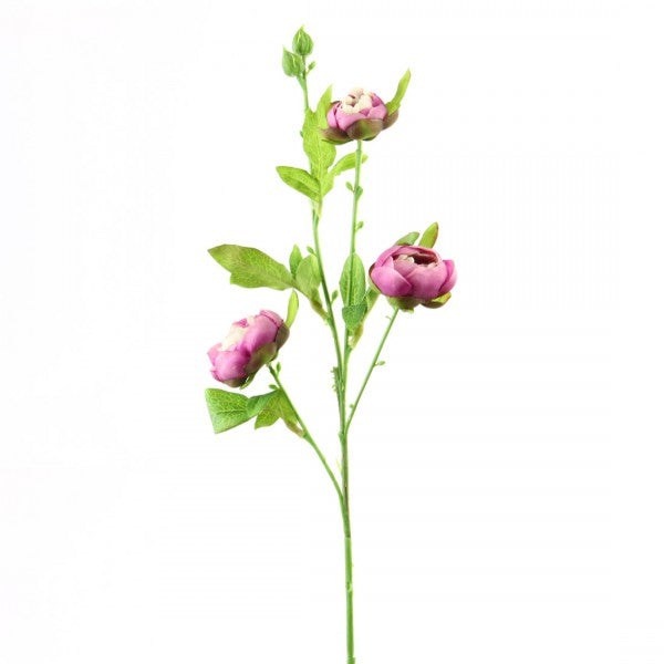23" MINI RANUNCULUS SPRAY X3