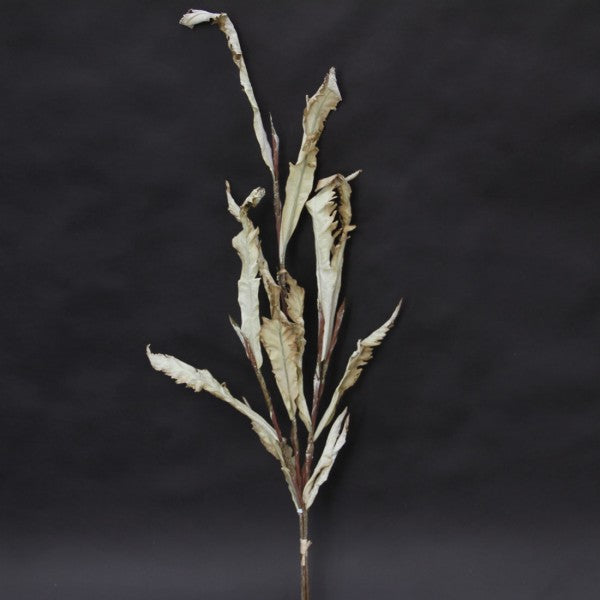 45"DRIED ACANTHUS GRASS BNDL