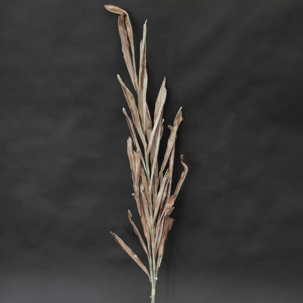 45"DRIED RIVER GRASS BNDL