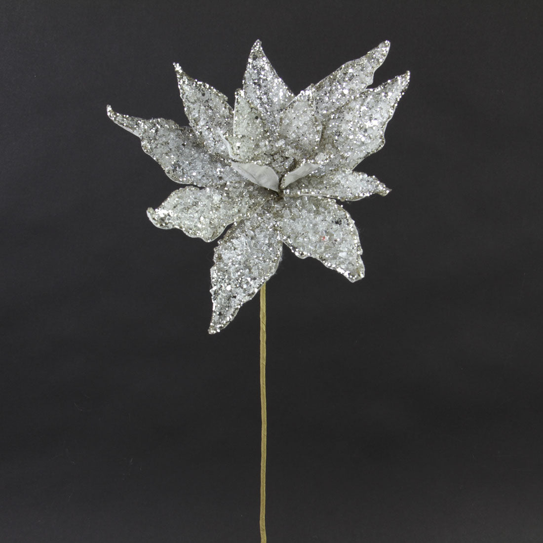20"BD/SEQ/GLT.POINSETTIA PLATI