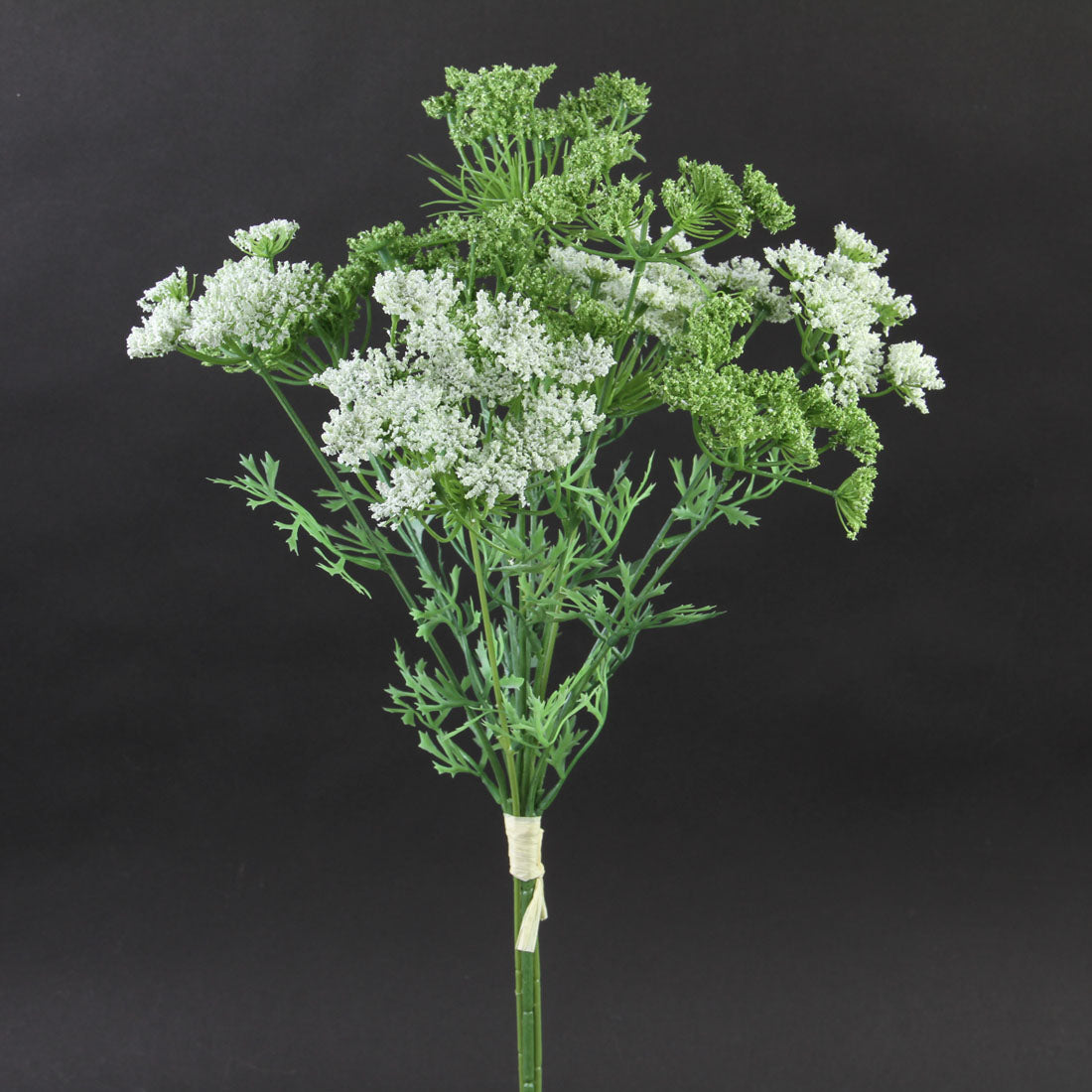 19.5"QUEEN ANNE'S LACE