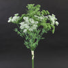 19.5"QUEEN ANNE'S LACE
