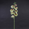 29"PHALAENOPSIS ORCHID X8