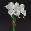 MINI CALLA LILY X9 CREAM
