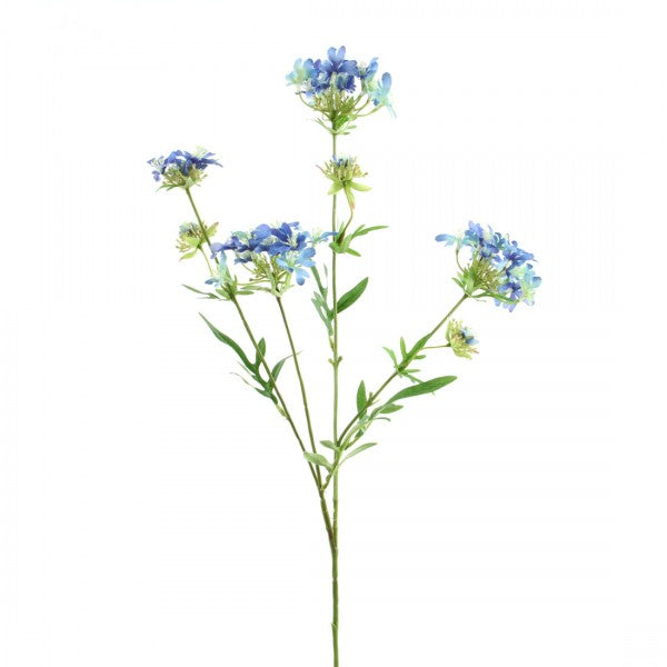 27"QUEEN ANNE'S LACE X4 A25