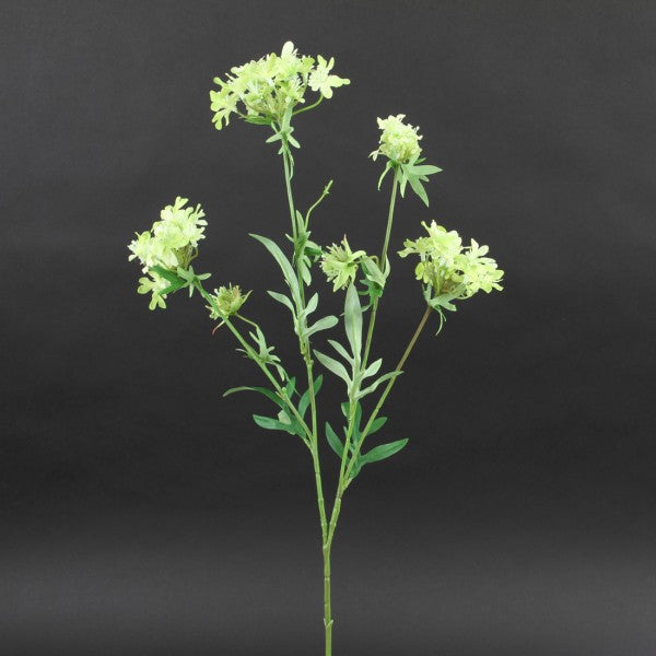 27"QUEEN ANNE'S LACE X4 A4