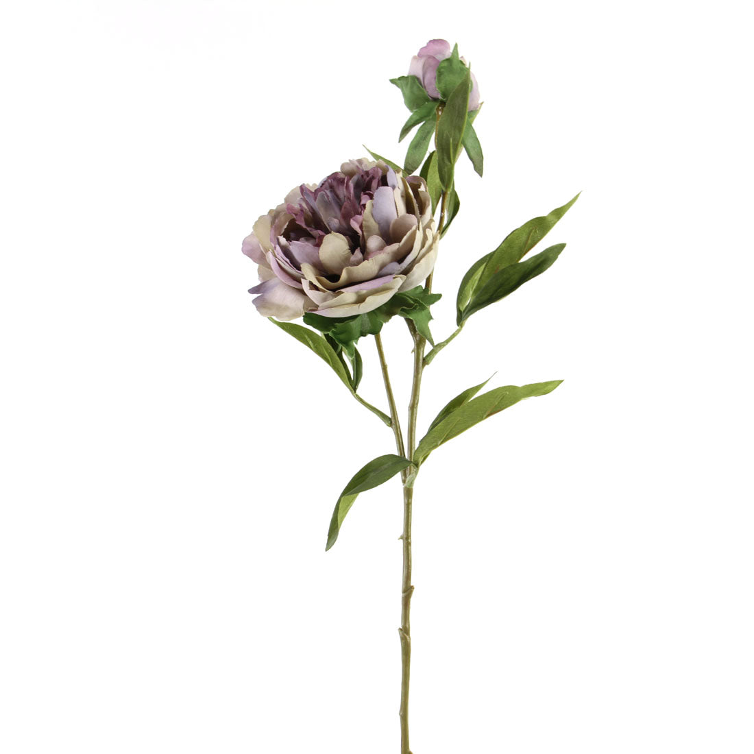 28"PEONY W/BUD A25