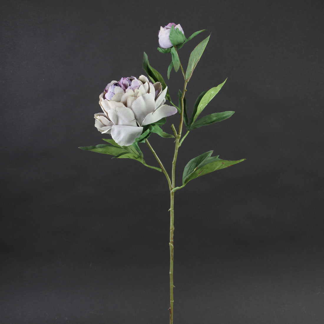 28"PEONY W/BUD A25