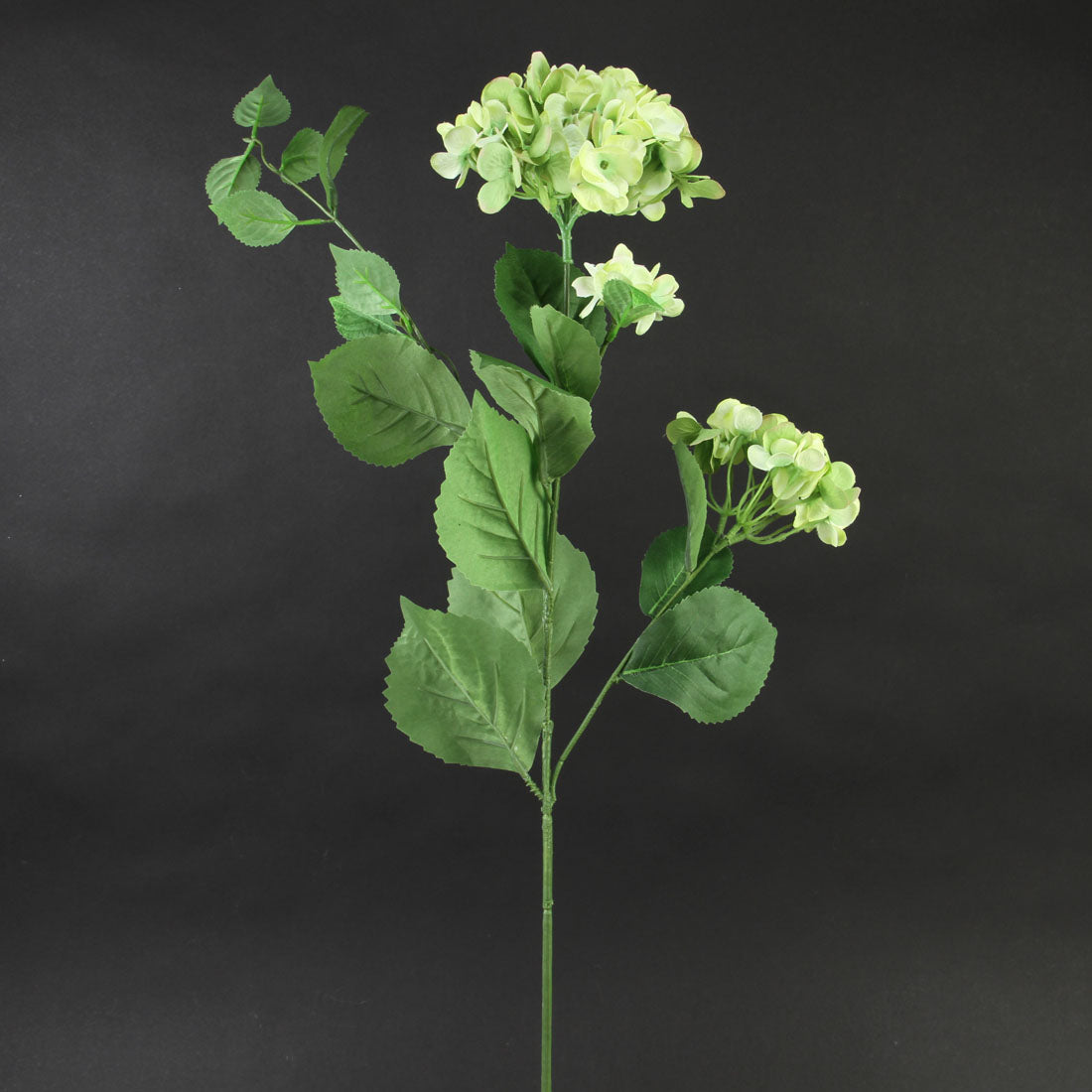 37"HYDRANGEA GREEN