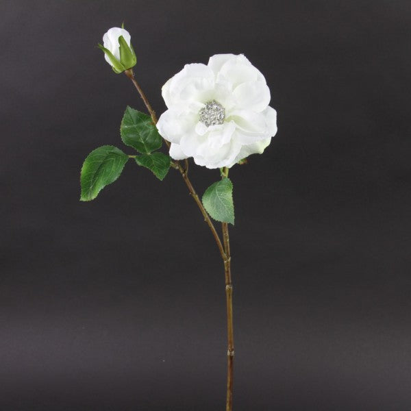 22"DMND OPEN ROSE CREAM A4