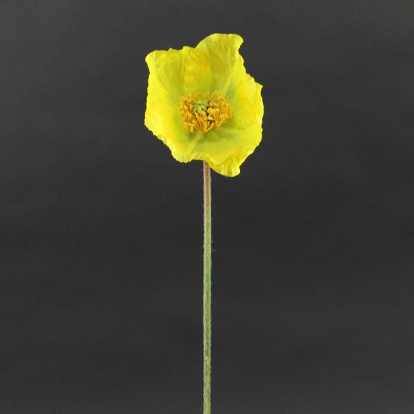 27"POPPY YELLOW A4