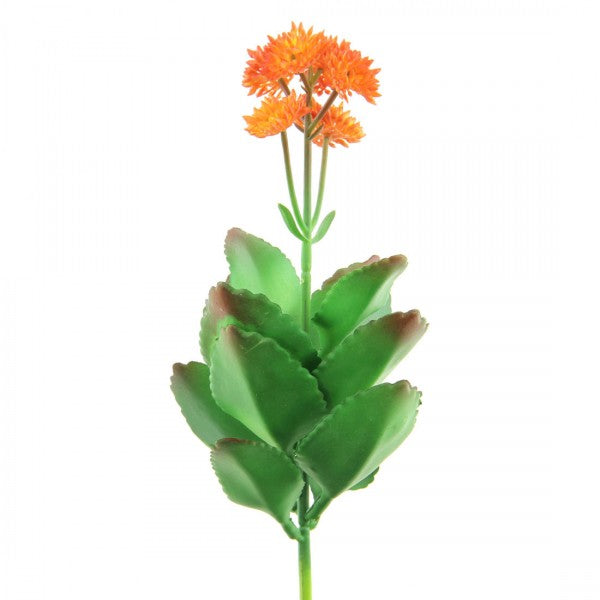 3.5"BLMNG PADD.SUCCULENT A25