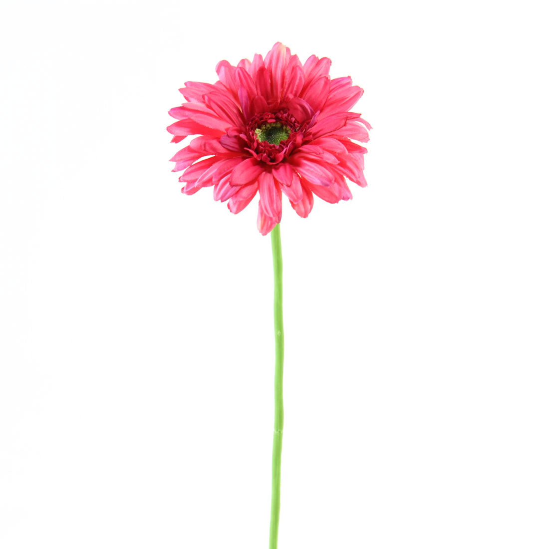 25"GERBERA DAISY BEAUTY