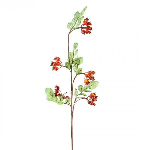 37"PRINCESS ROSE HIP SPRAY