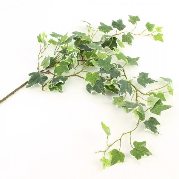 33" ENGLISH IVY VINE