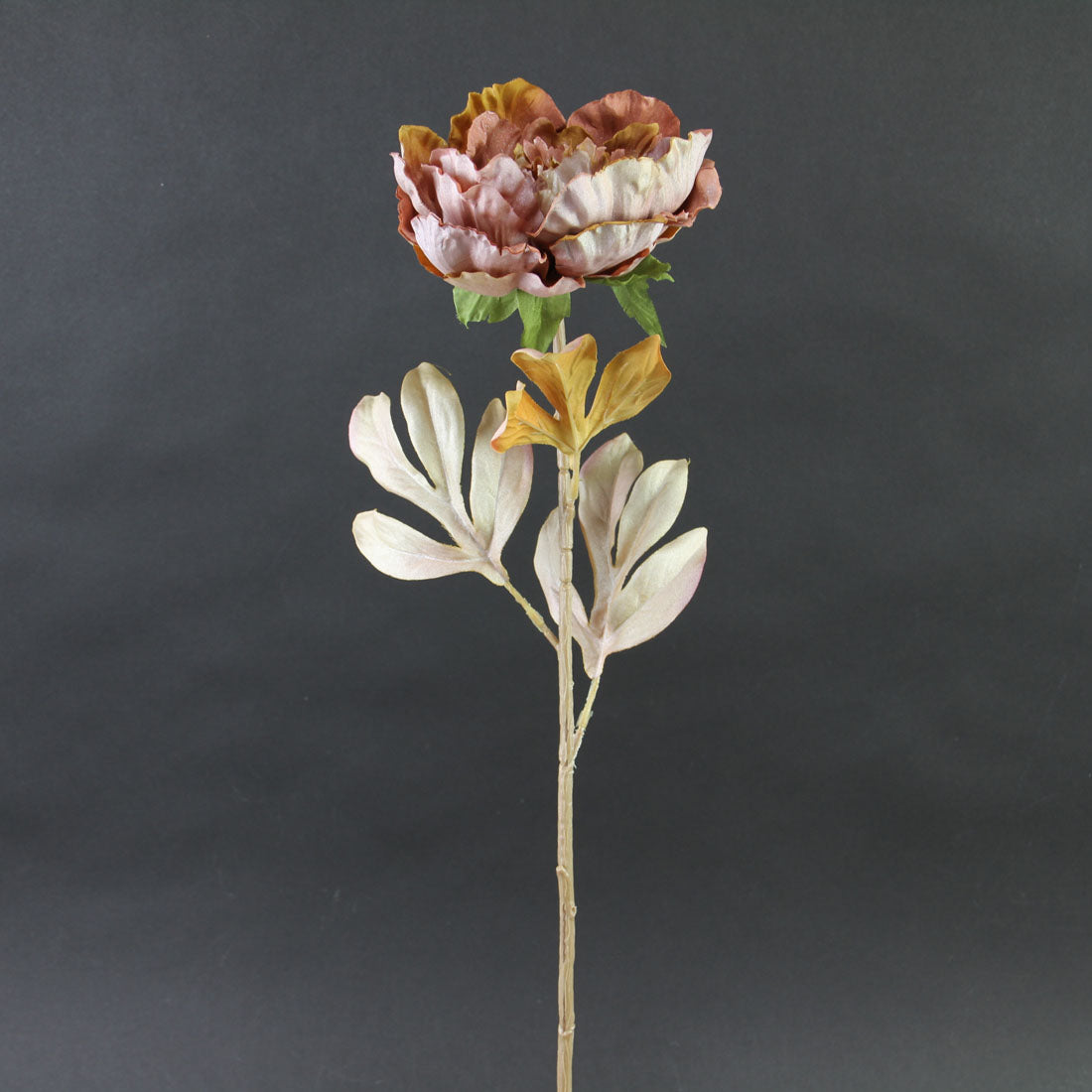25"SHIMMER PEONY