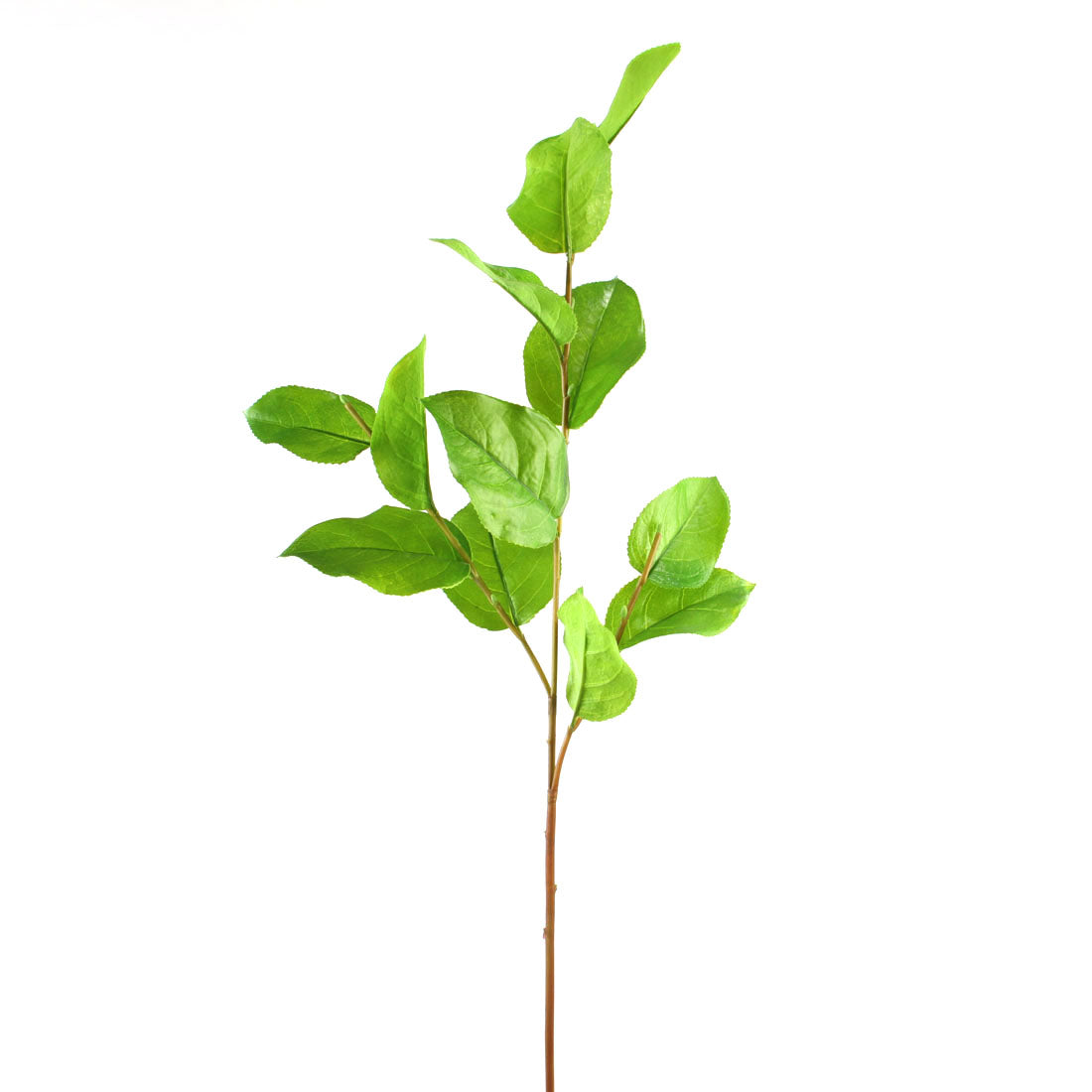 32"SALAI LEAF SPRAY GREEN