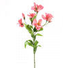 25"ALSTROEMERIA PINK/PINK A4
