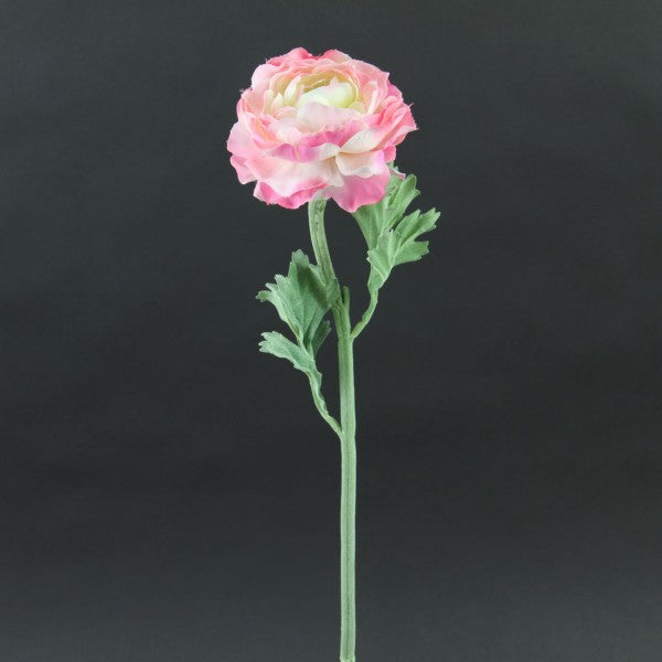 22"RANUNCULUS PINK A25