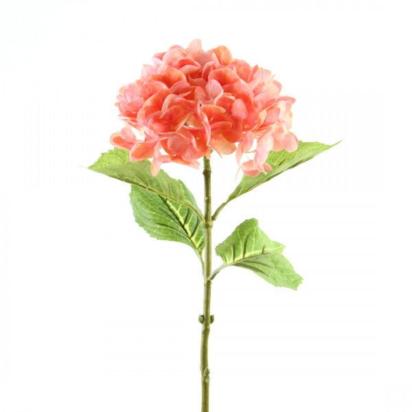 NAT.TOUCH HYDRANGEA A4