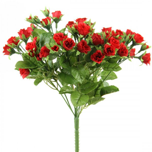 12"MINI ROSE BUSH RED A25