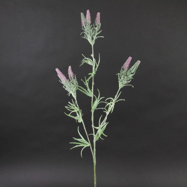 29"HEATHER SPRAY X2 PURPLE