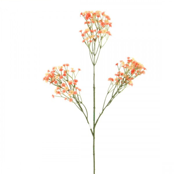 25"GYPSOPHILA CORAL A25