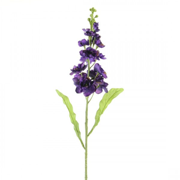 STOCK VIOLET