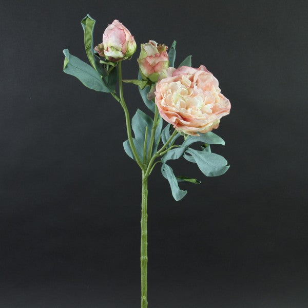 24.4"SUMMER DRIED PEONY A25