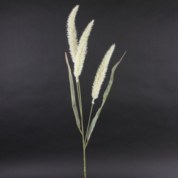 37"PENN GRASS SPRAY CREAM