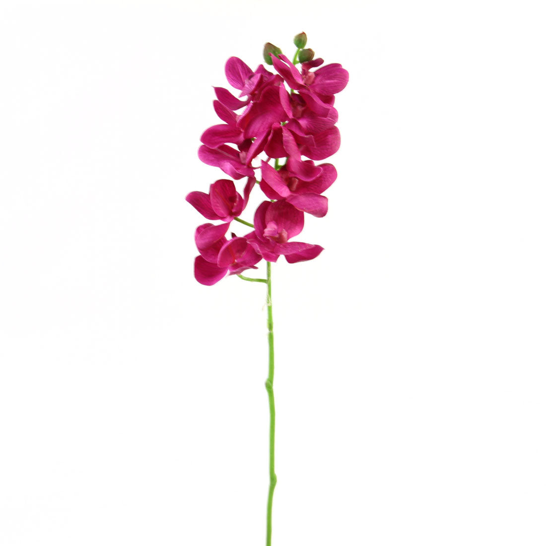 21"PHALAENOPSIS ORCHID SPRAY H.PINK