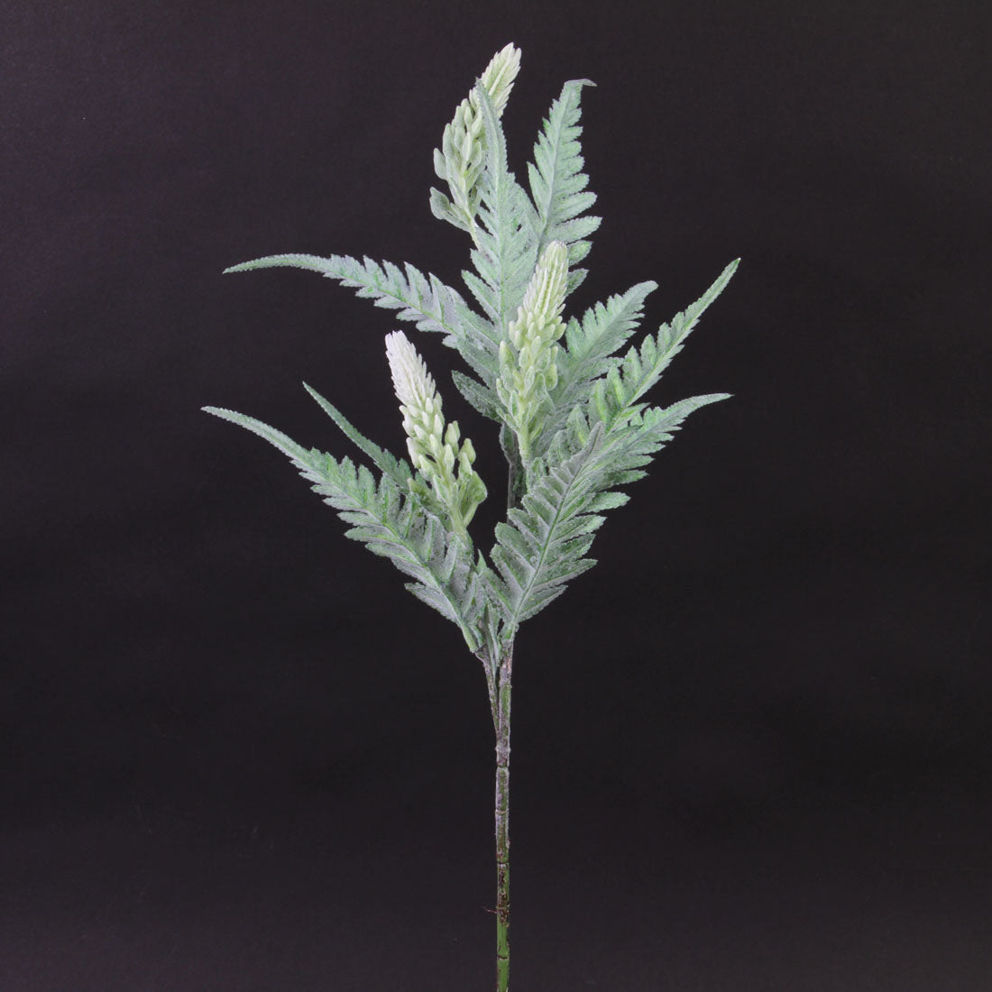 23"LONG BEECH FERN SPRAY