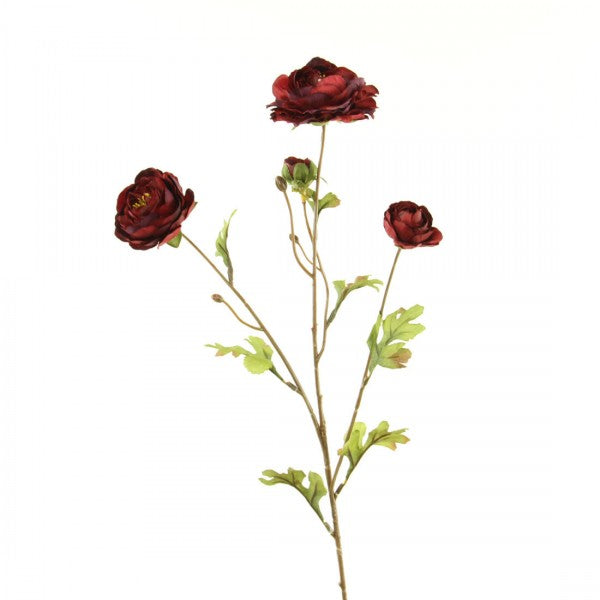 26"ABUNDANCE RANUNCULUS X4