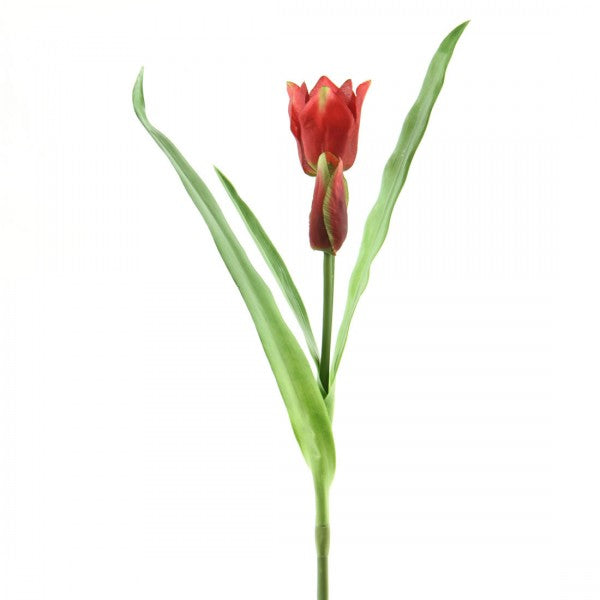 16.5"TULIP W/BUD A25