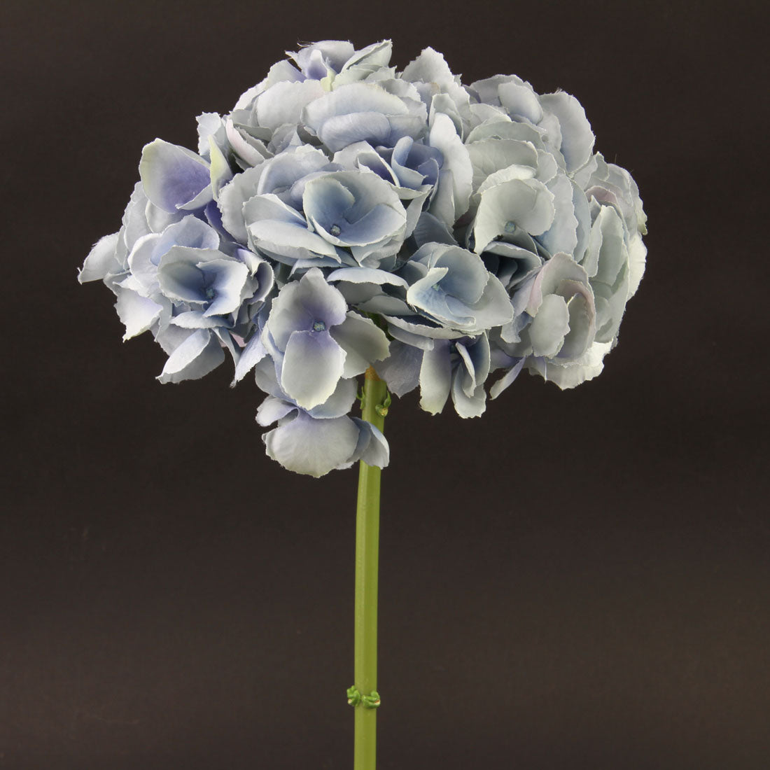14.5"HYDRANGEA SHORT STEM