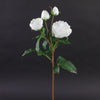 23"ROSE ENGLISH CATHEDRAL