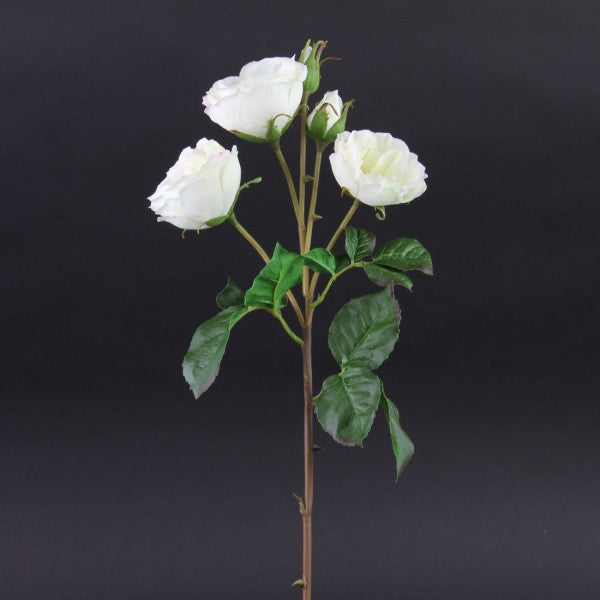 21 INCH ROSE ENGLISH HUNTINGTON