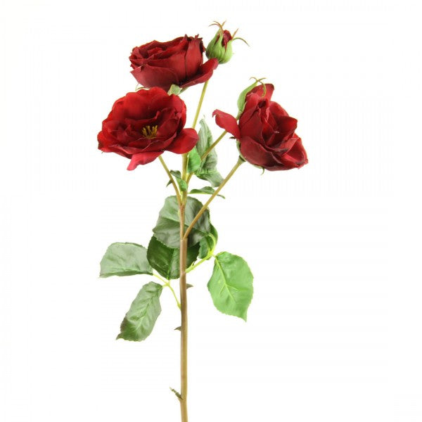 21 INCH ROSE ENGLISH HUNTINGTON