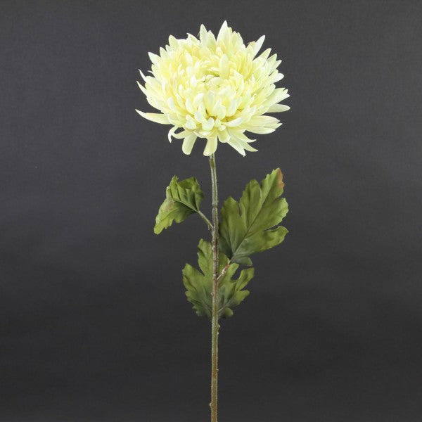 30"MUM SPRAY CREAM A4
