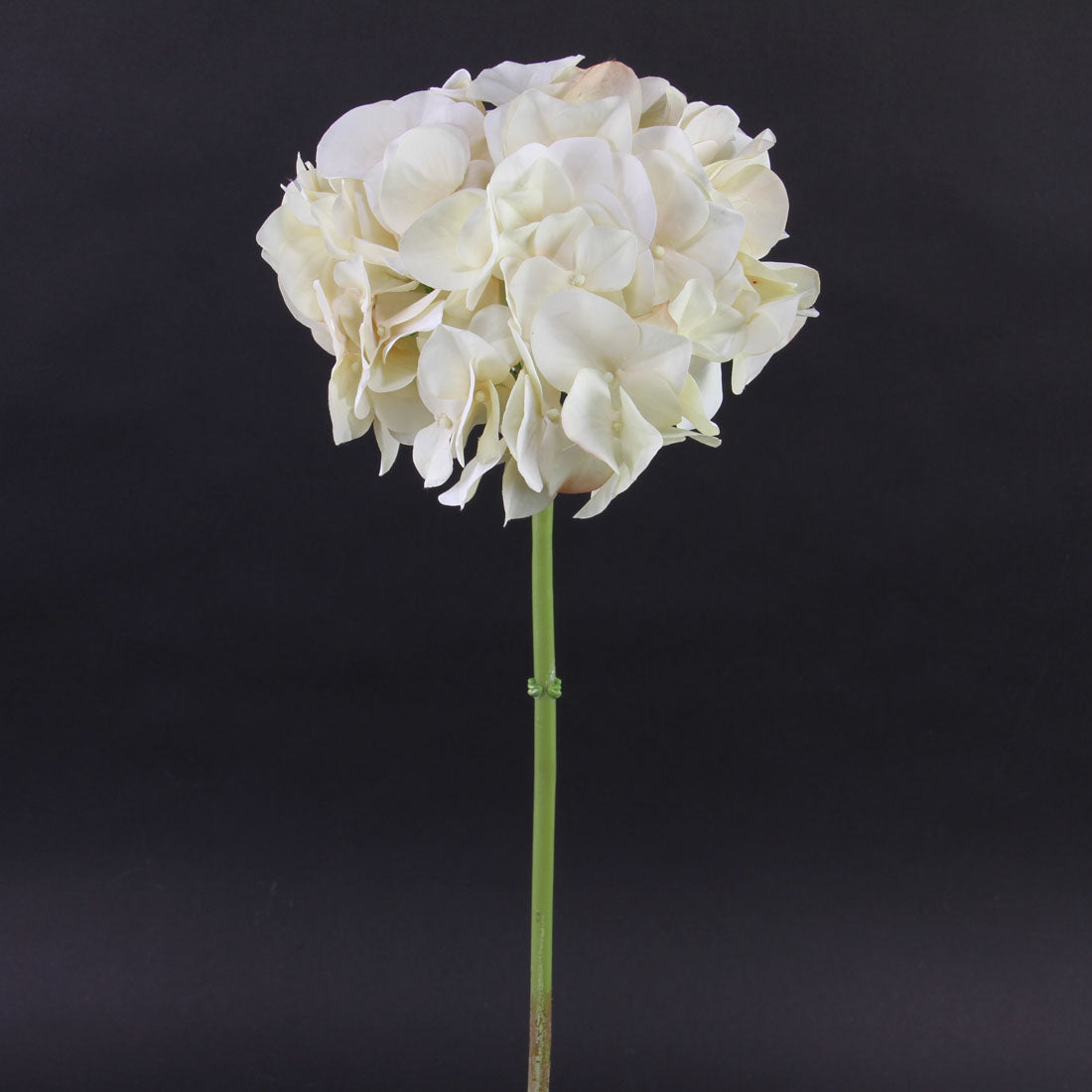 20.5"HYDRANGEA