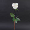 21.5"ROSE DUTCHESS BUD SH/ST