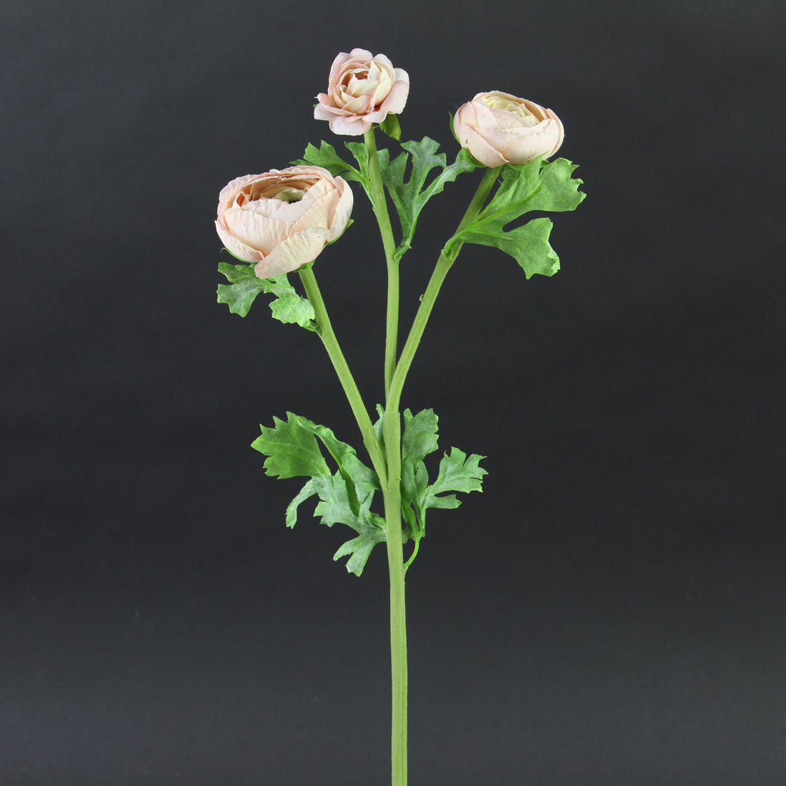 18.5"RANUNCULUS