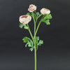 18.5"RANUNCULUS
